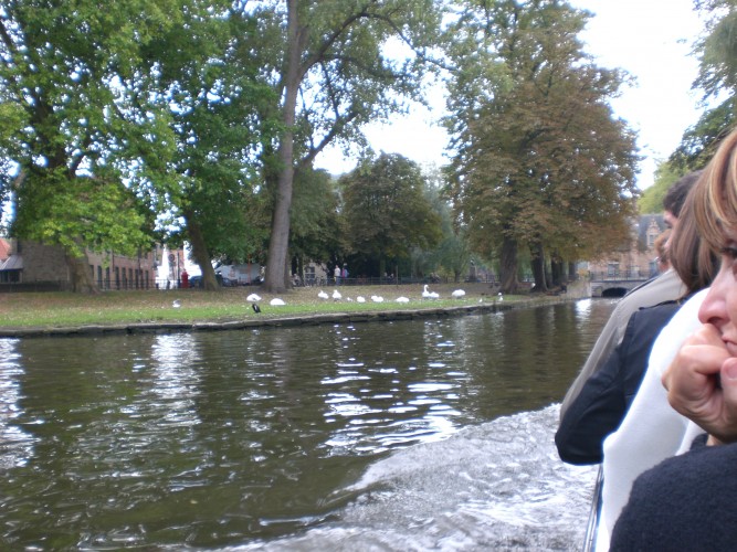 CIMG0302.JPG